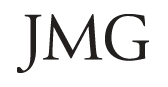 JMG Financial Group