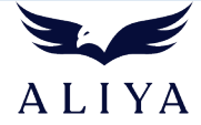 Aliya Capital Partners LLC logo