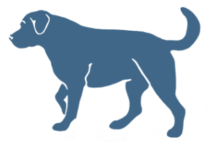 BlueDog Advisory