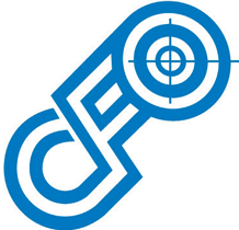 CFO Capital Management