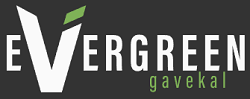 Evergreen Capital Management, LLC logo