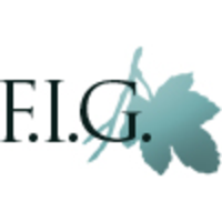 F.I.G. Financial Advisory Service, Inc.
