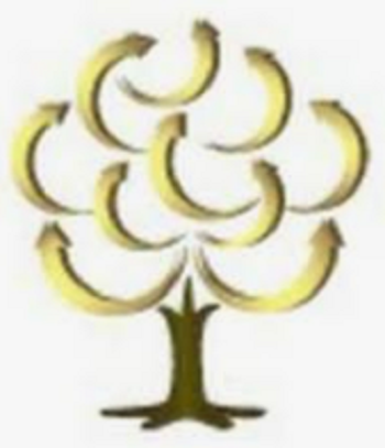 Ironwood Wealth Management, Inc. logo