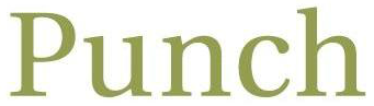 Punch & Associates Investment Management, Inc.